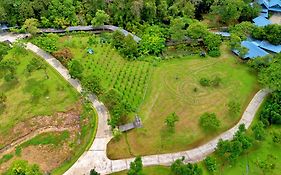 Borneo Happy Farm
